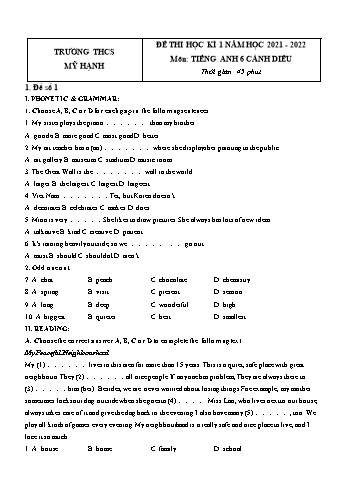 Bộ 5 đề thi học kì 1 môn Tiếng Anh 6 Sách Cánh diều - Năm học 2021-2022 - Trường THCS Mỹ Hạnh (Có đáp án)