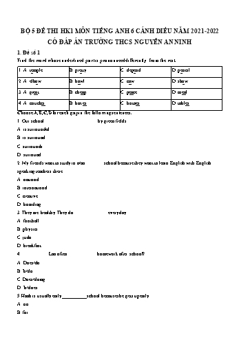 Bộ 5 đề thi học kì 1 môn Tiếng Anh 6 Sách Cánh diều - Năm học 2021-2022 - Trường THCS Nguyễn An Ninh (Có đáp án)