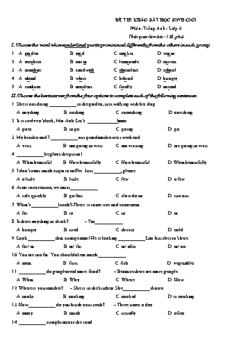 Bộ đề thi chọn học sinh giỏi môn Tiếng Anh Lớp 6 (Chương trình mới)