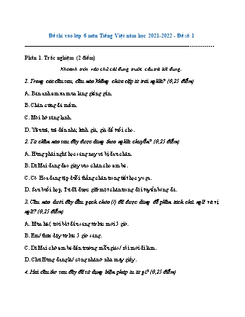 Đề thi vào Lớp 6 môn Tiếng Việt - Năm học 2021-2022 - Đề số 1 (Có đáp án)