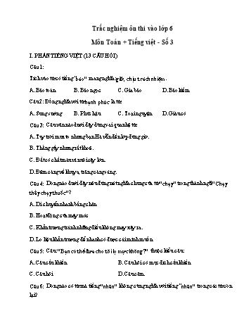 Đề trắc nghiệm ôn thi vào Lớp 6 môn Toán, Tiếng Việt - Đề số 3