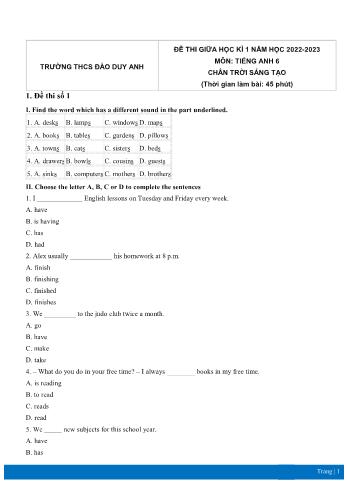 Đề thi giữa học kì 1 môn Tiếng Anh Lớp 6 Sách Chân trời sáng tạo - Năm học 2022-2023 - Trường THCS Đào Duy Anh (Có đáp án)