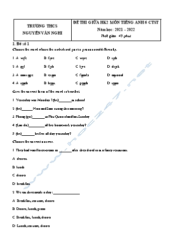 Đề thi giữa học kì 2 môn Tiếng Anh Lớp 6 Sách Chân trời sáng tạo - Năm học 2021-2022 - Trường THCS Nguyễn Văn Nghi (Có đáp án)