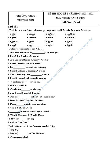 Đề thi học kì 1 môn Tiếng Anh Lớp 6 Sách Chân trời sáng tạo - Năm học 2021-2022 - Trường THCS Trường Sơn (Có đáp án)