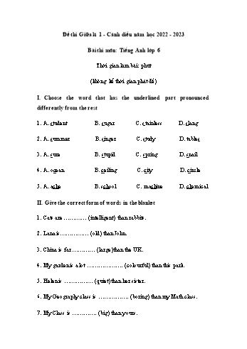 Đề thi giữa kì 1 Tiếng Anh Lớp 6 (Sách Cánh diều) - Đề 1 - Năm học 2022-2023 (Có đáp án)