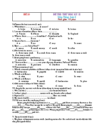 Đề thi thử học kì 2 Tiếng Anh Lớp 6 - Đề 10
